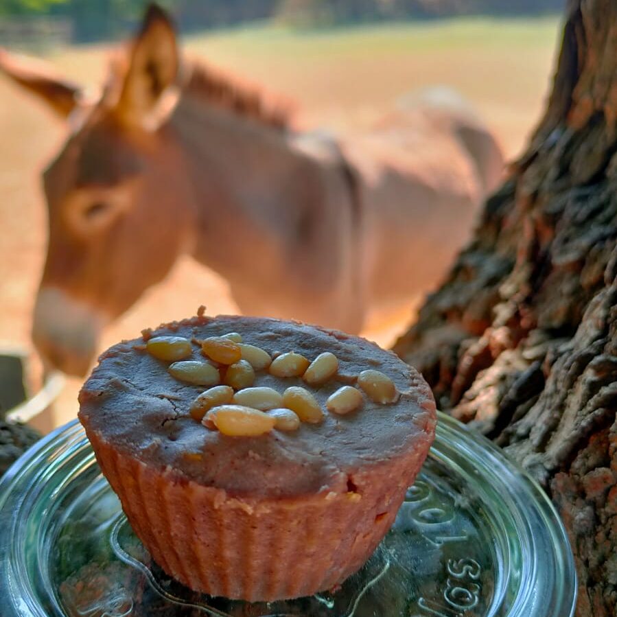 Castagnaccio Muffins