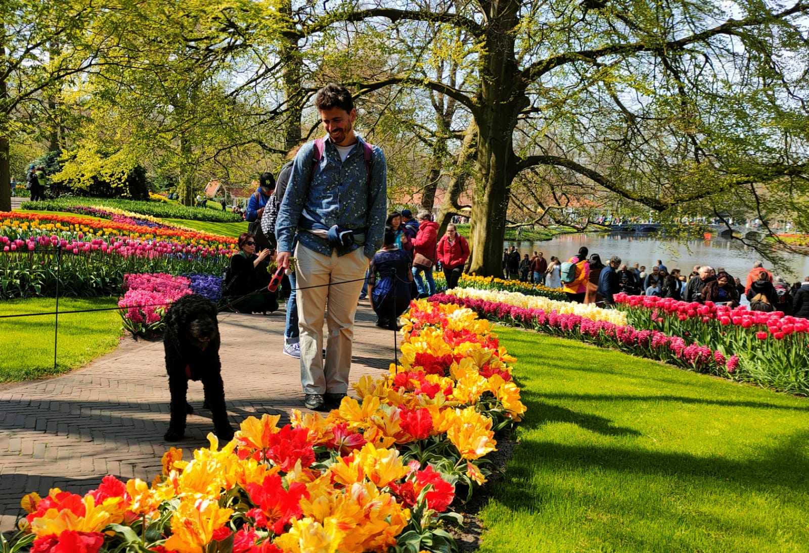 Cosa c’entrano cani, gatti ed ecologia con l’alloggio gratuito in vacanza?